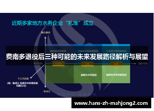 费南多退役后三种可能的未来发展路径解析与展望