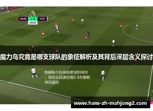 魔力鸟究竟是哪支球队的象征解析及其背后深层含义探讨