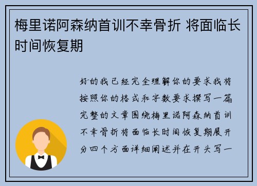 梅里诺阿森纳首训不幸骨折 将面临长时间恢复期